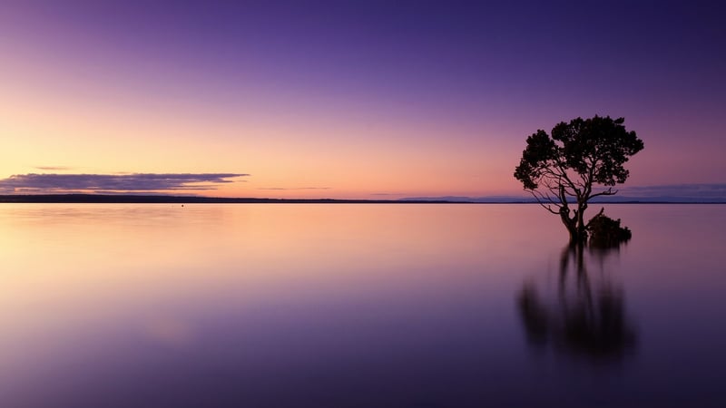 Savannah Sunset